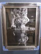 A liquid art print of a tiger in mirrored frame 75x95cm