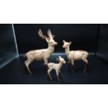 Beswick Deer Family to incl Stag, Doe and Fawn, tallest approx 20cm tall (3)