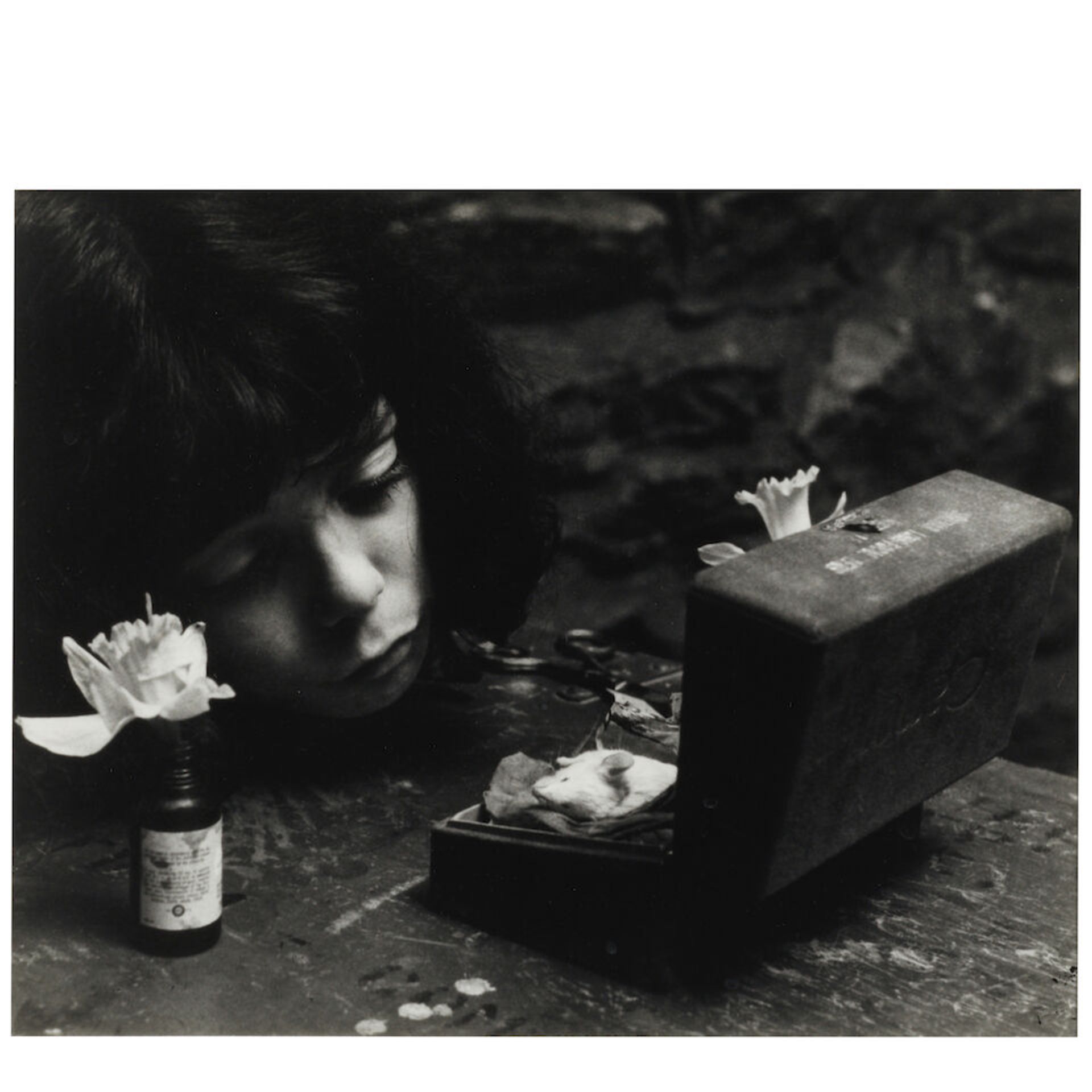 W. Eugene Smith (1918-1978); Death of Gus-Gus;