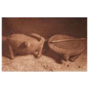 Edward S. Curtis (1868-1952); The Sacred Turtles - Mandan;