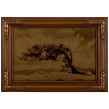 Orotone of a Jeffrey Pine on Sentinel Dome, Yosemite. [ANONYMOUS PHOTOGRAPHER, PROBABLY AMERICAN...