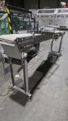 Stainless Steel Conveyor Belt System, 12" x 10', Adjustable Legs