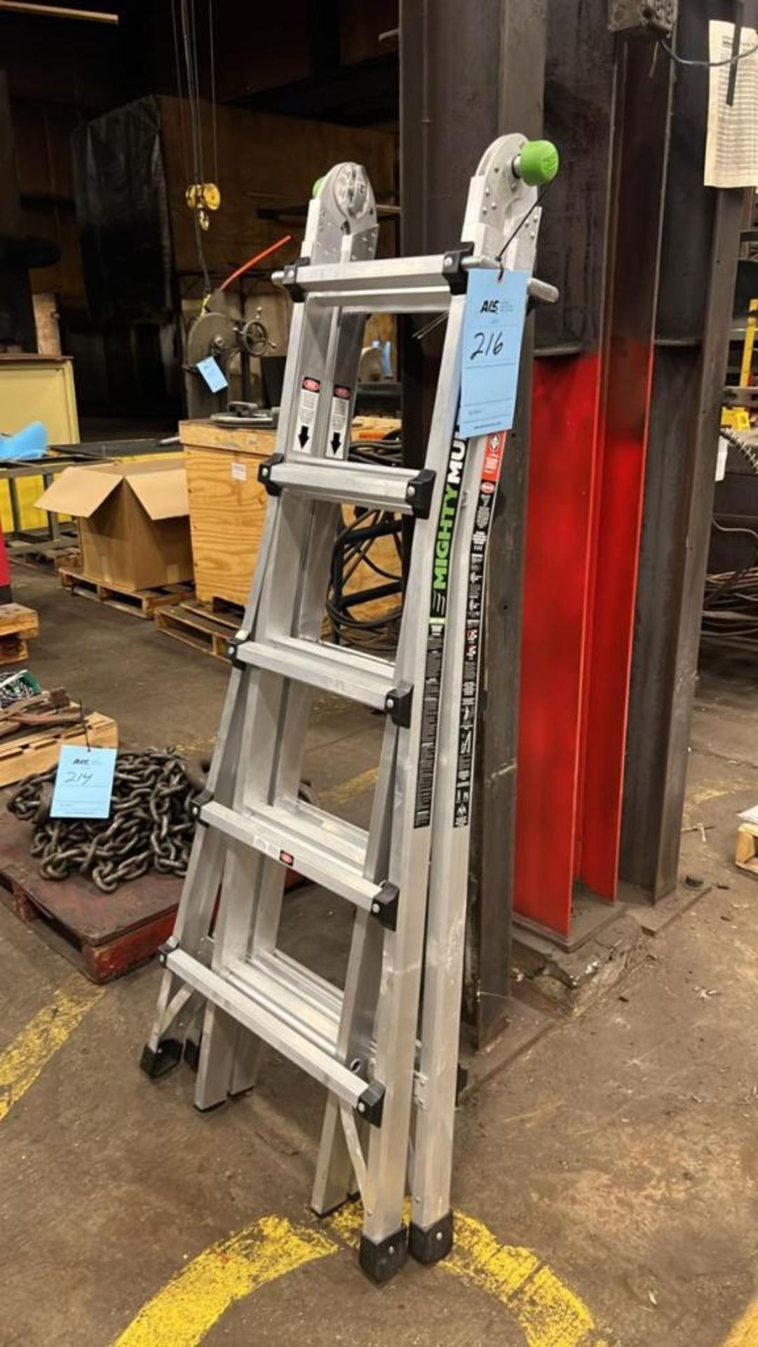 Pro Mighty Multi Ladder.