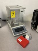 US SOLID LAB BALANCE