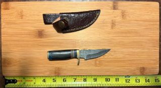 Straight Back Hunting Knife with Sheath