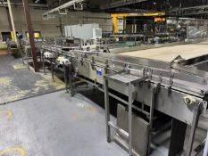 Mass Flow Discharge / Transfer Conveyors