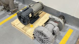 Regenerative Blowers