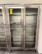 Stainless Steel Double Door Mobile Cabinet