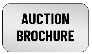 AUCTION BROCHURE