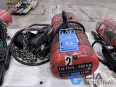 1/4 TON CAPACITY CM / LODESTAR PENDANT CONTROL CHAIN HOIST