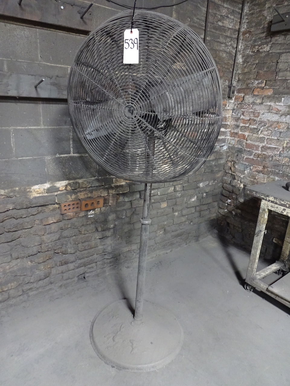 PEDESTAL FAN