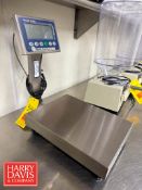 Mettler Toledo 100 LB Capacity S/S Table Top Scale: 15.75” x 11.75”, Model: BBA236, S/N:
