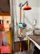 Emergency Eye Wash and Shower Station