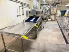 BULK BID (Lots 31–42): Product Slice/Dice/Cool/Spin and Pack Line, Including: Slicer, Auger, Urschel