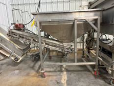 Portable S/S Hopper Conveyor: 29