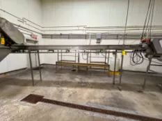 S/S Incline Conveyor: 208