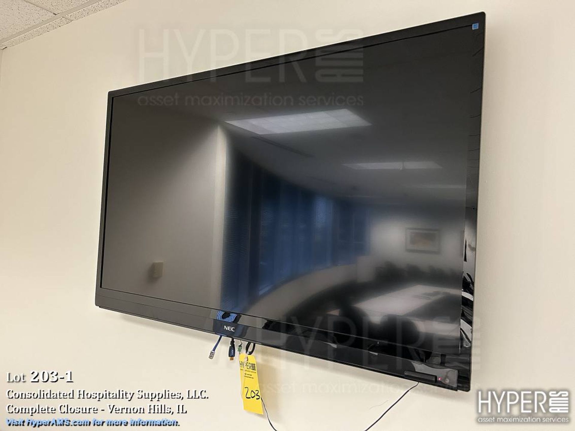 NEC Flatscreen TV