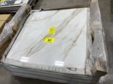 LOT OF (40) SUPREME EVO CALACATTA TILE, 48" X 48" (640) S.F. (SUBJECT TO BULK BID LOT 21A)