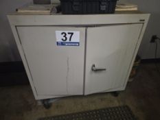 Sandusky Storage Cabinet