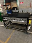 Rankan Group Propane Portable Grill, Model GR2039201-MM-00, S/N 062160401020565