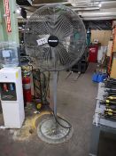 (2) Pedestal Fans