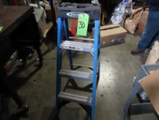 Werner 4' Ladder