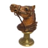 A Cold Painted Bronze Horse Sea by Franz Bergman (Austrian, 1861-1936). Size approx: 3cm length x