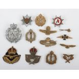 Royal Air Force Related Badges