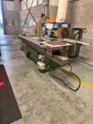 Danckaert 3-Phase Panel Saw with Twin Extraction Unit – Includes Accessories & Blades