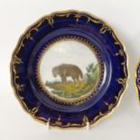 Two early 19th century John Rose Coalport 'Animal Series' dessert plates, with painted and gilt