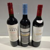 21 X BRAND NEW BOTTLES OF RED WINE IE. LOPEZ MALBEC, BETHANY CREEK, CASONA LOPEZ MALBEC