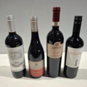 17 X BRAND NEW BOTTLES OF RED WINE IE. ILATIUM LEON, PACIFICO SUR MERLOT, DOMAIN DE SUREMAIN MERCURE