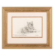 § Shepherd (David) Original sketch of a tiger