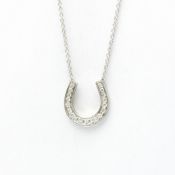 Tiffany Horseshoe Necklace Platinum Diamond Men,Women Fashion Pendant Necklace (Silver)