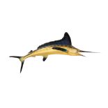 Taxidermy. A composite model of a striped Marlin, bears label 'J. T. Reese Fort Lauderdale',