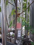 3 x APV Orange top valves