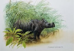 Matthew Hillier (b.1958) Watercolour Study of a Javan rhinoceros, signed and dated '86 lower