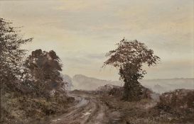 Pamela Derry (1932-2002) Oil on board 