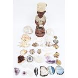 Collection of shells, fossils and stones including polished ammonites, orthoceras fossil, agate