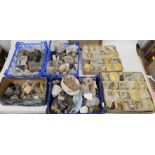 V Collection of geological mineral stones and rocks, including two partially filled geospecimen