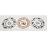 Chamberlain's Worcester botanical cabinet plate, circa 1840, printed pink mark, painted with a