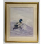 Virginia Austin (Virginia Miller b.1951), a large contemporary watercolour portrait of a duck,