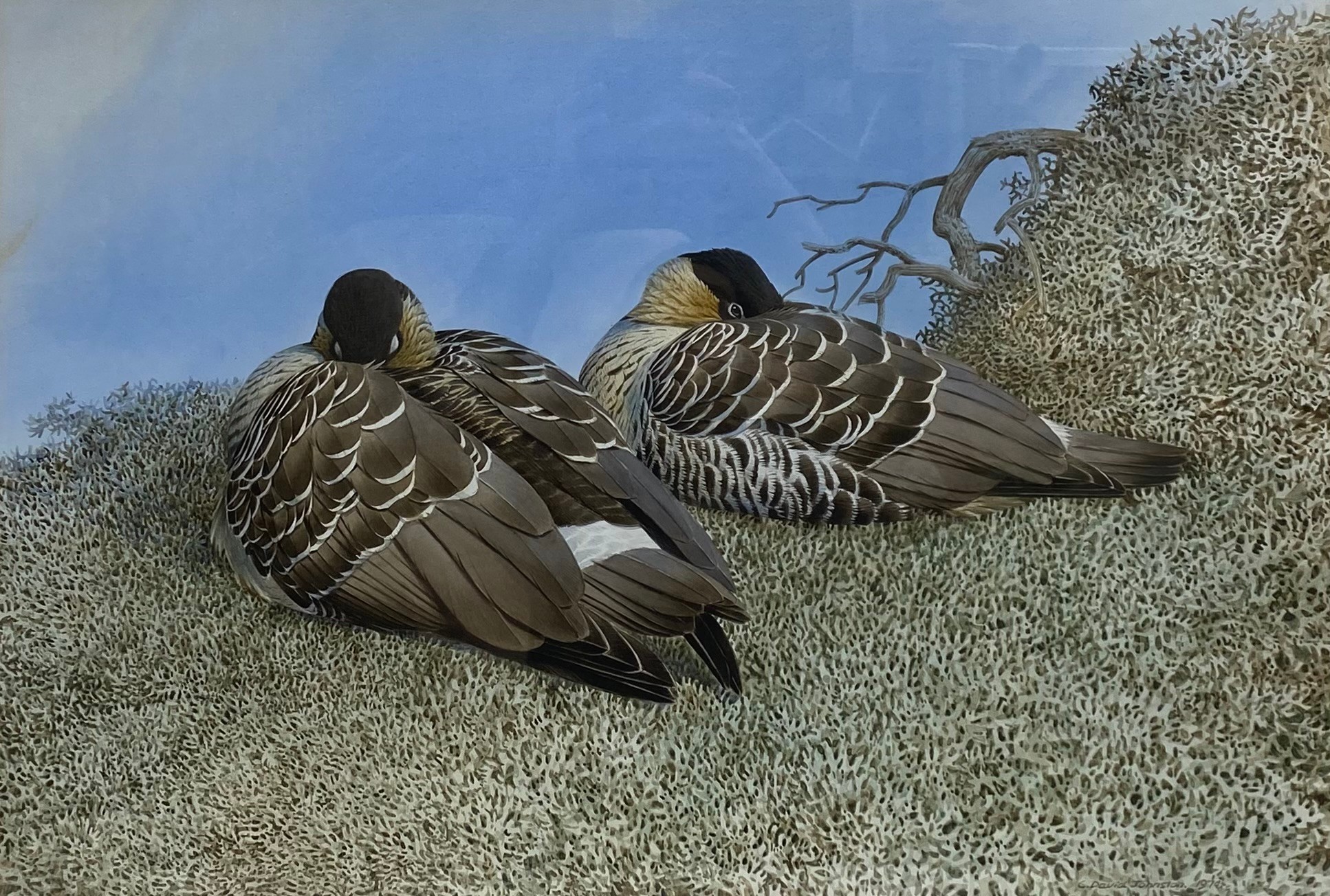 Cyril David Johnston (b.1946), a large modern watercolour titled 'Nay-Nay Geese' 1974, signed bottom - Image 2 of 5