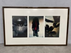Three contemporary abstract photographic prints framed as a triptych. 111x67cm.