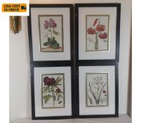 A set of four contemporary lithographs depicting various flowers and insects. All framed and glazed.