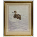 Virginia Austin (Virginia Miller b.1951), a large contemporary watercolour portrait of a duck,