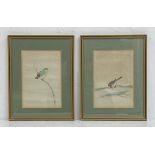 A pair of 19th century Japanese watercolours titled 'Inko' (parrot) and 'Hojiro' (white-eye bird).
