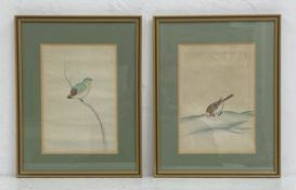 A pair of 19th century Japanese watercolours titled 'Inko' (parrot) and 'Hojiro' (white-eye bird).
