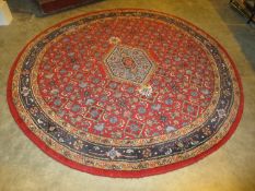 Indian Bidjar Circular Wool Rug, 201cm