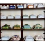 Sardine Boxes